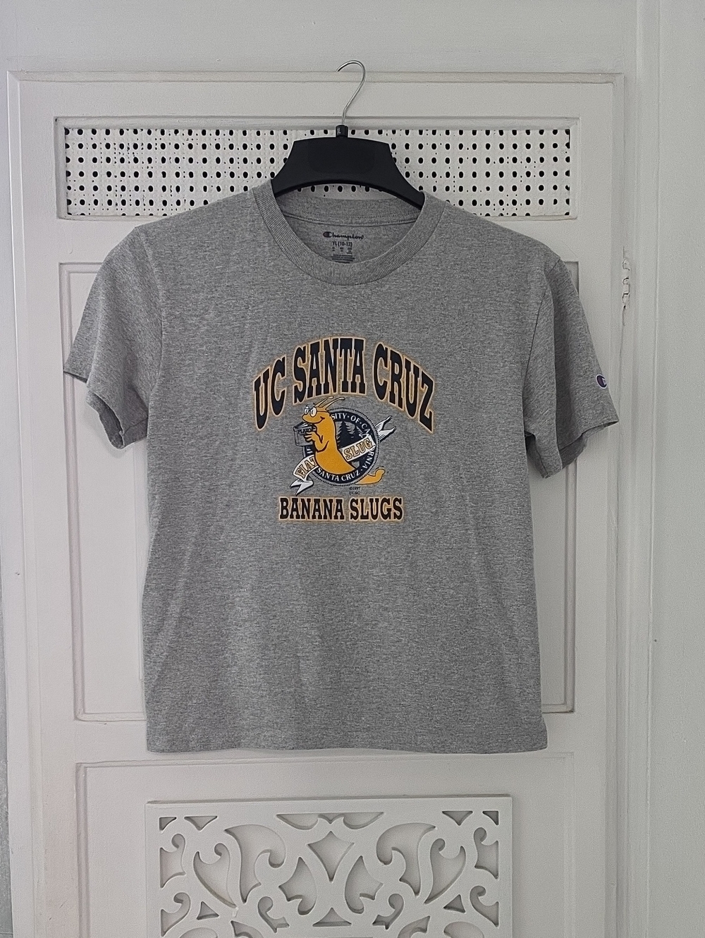 UC Santa Cruz Banana Slugs Graphic Tee